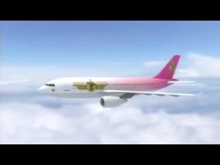 airplane porn (flight dp 69 2009)