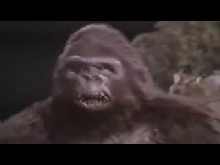 king kong lives king kong lives (1986) vhsrip translated by andrey dolsky